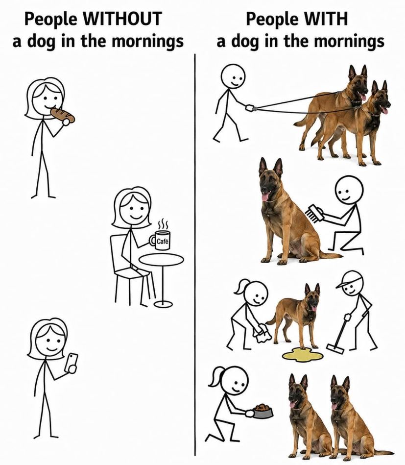 12612